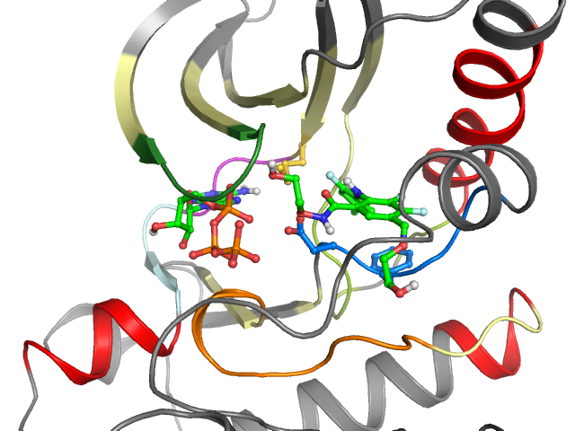 The orthosteric binding pocket