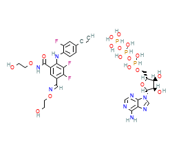 2D structure of the orthosteric ligand