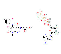 2D structure of the orthosteric ligand