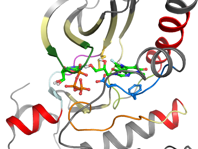 The orthosteric binding pocket
