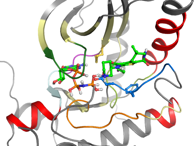 The orthosteric binding pocket
