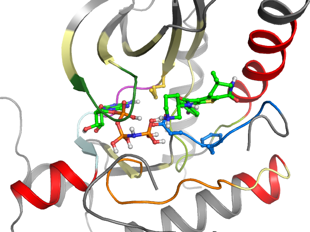 The orthosteric binding pocket