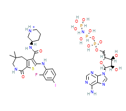 2D structure of the orthosteric ligand