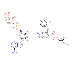 2D structure of the orthosteric ligand