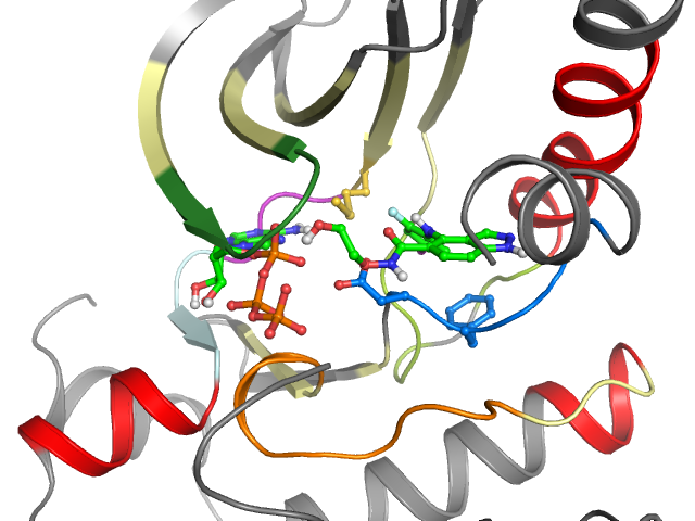 The orthosteric binding pocket