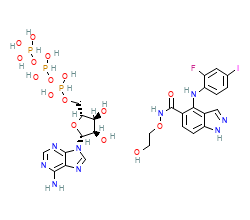 2D structure of the orthosteric ligand