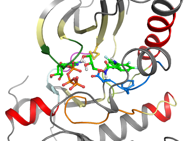 The orthosteric binding pocket