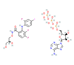 2D structure of the orthosteric ligand