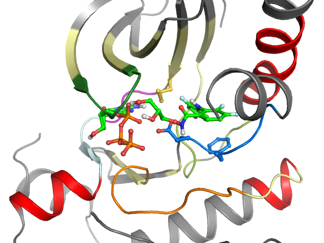 The orthosteric binding pocket