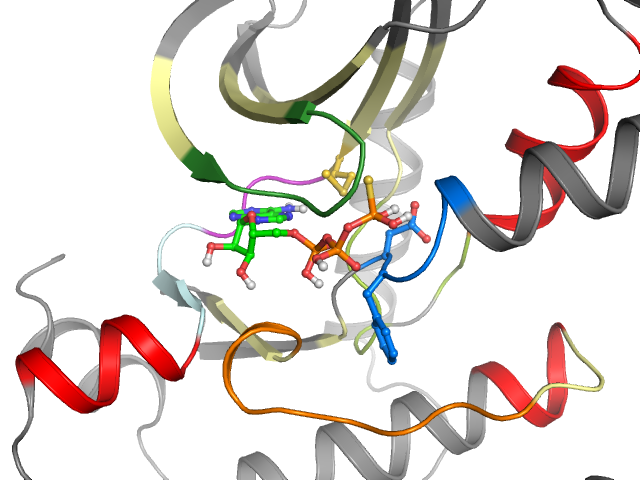 The orthosteric binding pocket