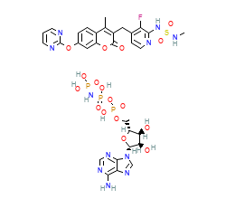 2D structure of the orthosteric ligand