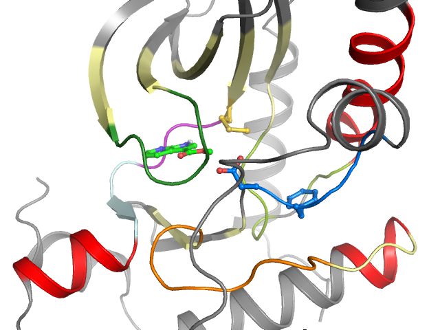 The orthosteric binding pocket