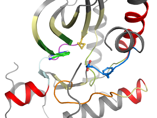 The orthosteric binding pocket