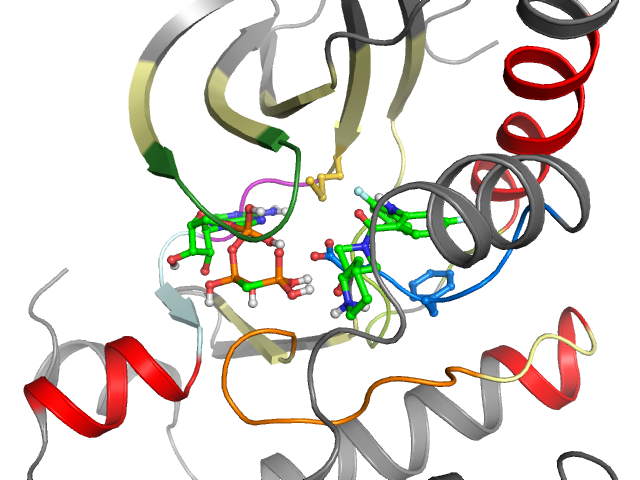 The orthosteric binding pocket