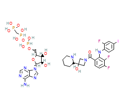 2D structure of the orthosteric ligand