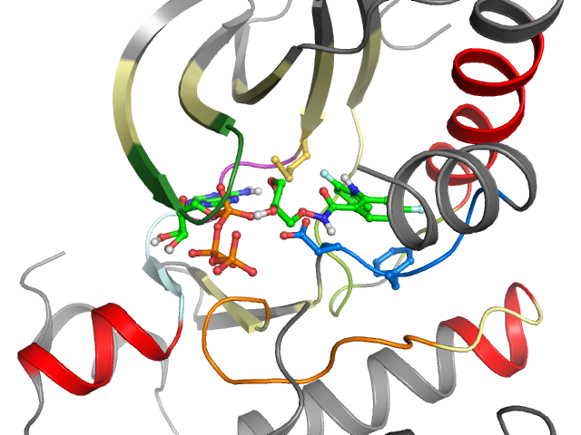 The orthosteric binding pocket
