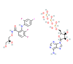 2D structure of the orthosteric ligand