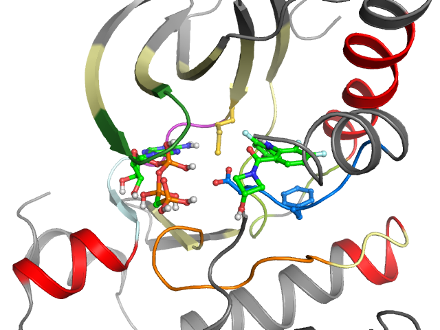 The orthosteric binding pocket