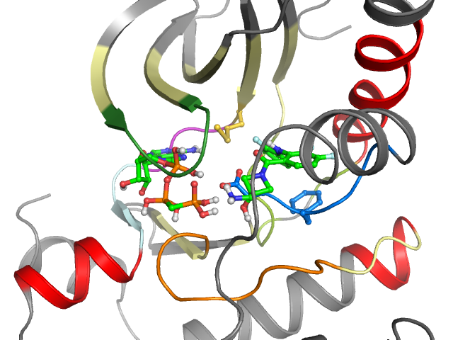 The orthosteric binding pocket