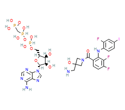 2D structure of the orthosteric ligand