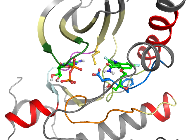 The orthosteric binding pocket