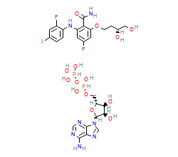 2D structure of the orthosteric ligand