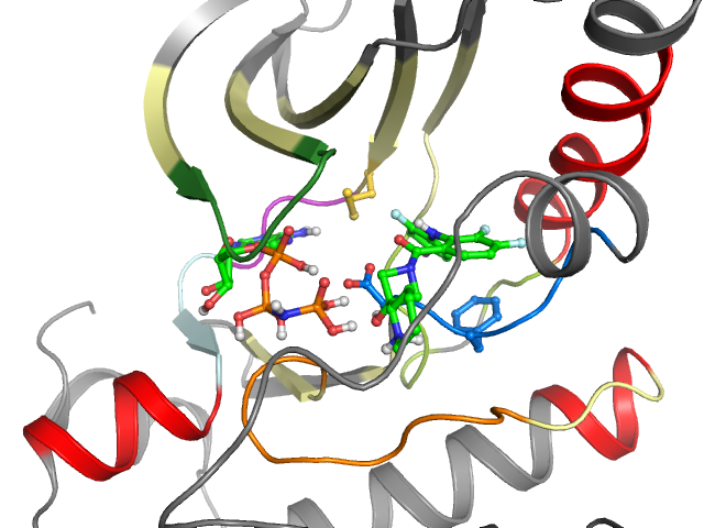 The orthosteric binding pocket