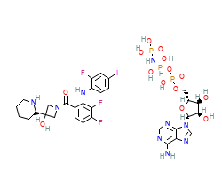 2D structure of the orthosteric ligand