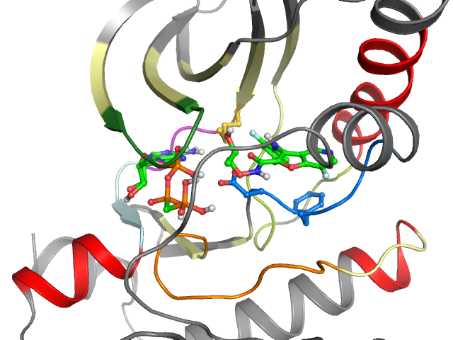 The orthosteric binding pocket