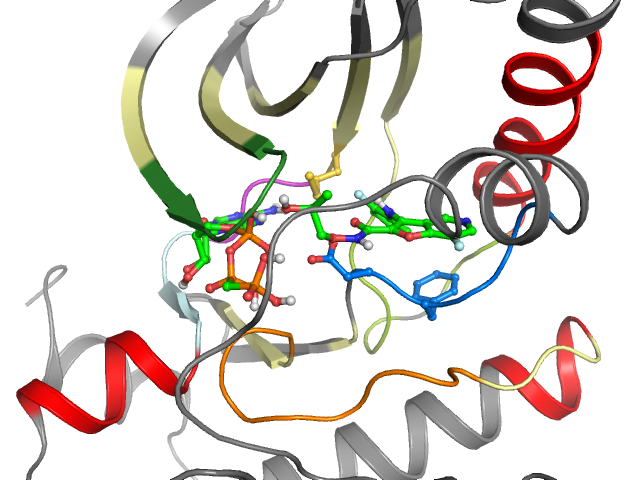 The orthosteric binding pocket