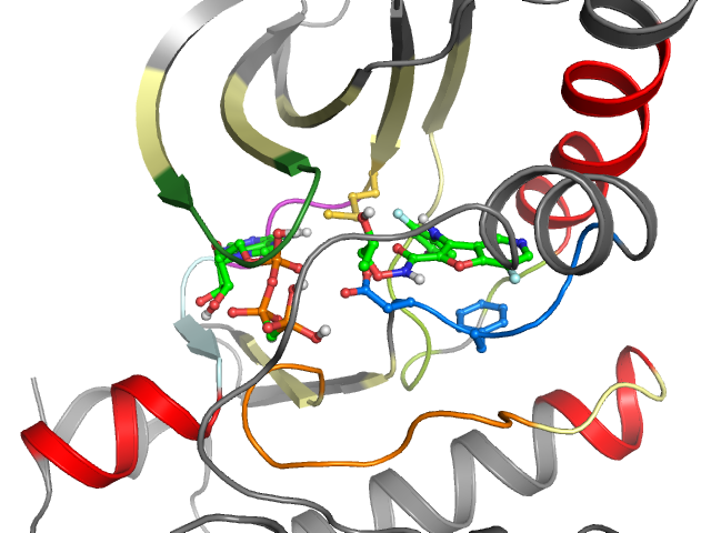 The orthosteric binding pocket
