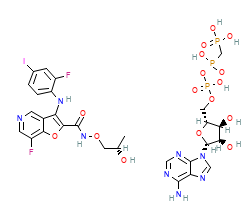 2D structure of the orthosteric ligand