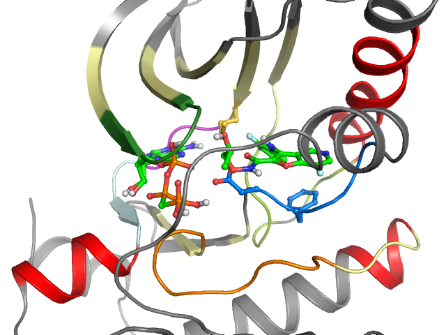 The orthosteric binding pocket