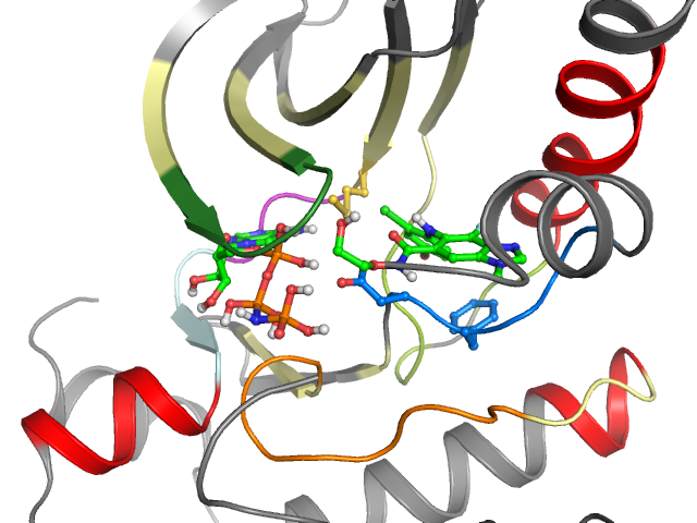 The orthosteric binding pocket