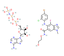 2D structure of the orthosteric ligand