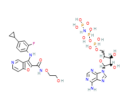2D structure of the orthosteric ligand