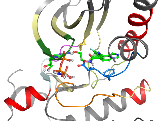 The orthosteric binding pocket