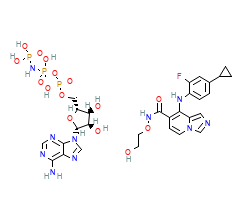 2D structure of the orthosteric ligand