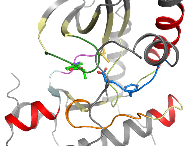 The orthosteric binding pocket
