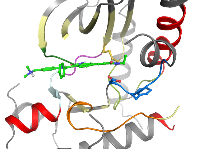 The orthosteric binding pocket