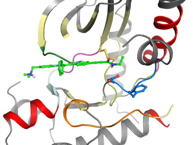 The orthosteric binding pocket