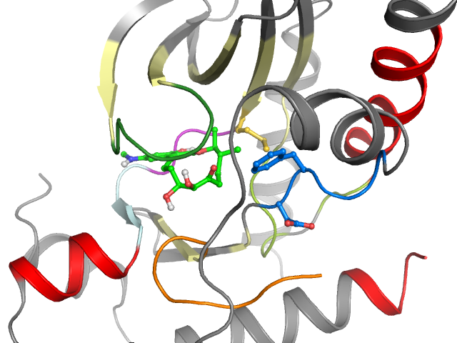 The orthosteric binding pocket