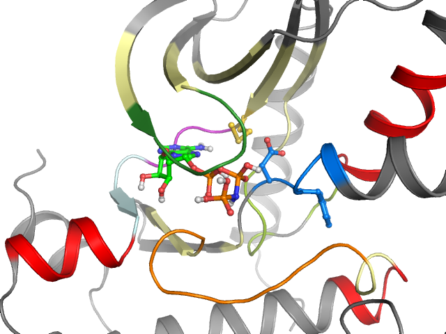 The orthosteric binding pocket