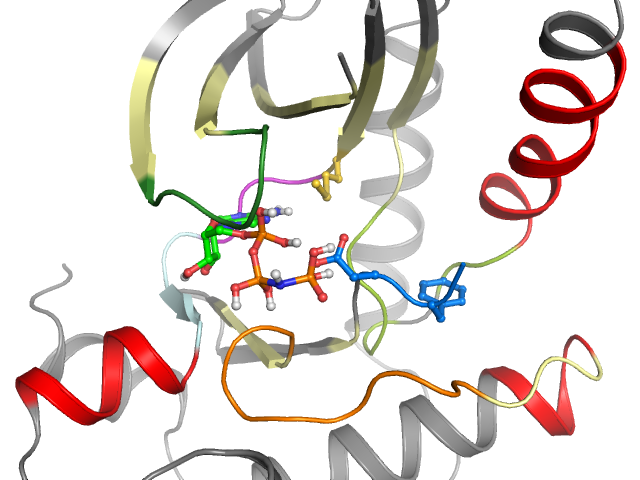 The orthosteric binding pocket