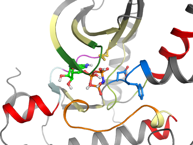 The orthosteric binding pocket