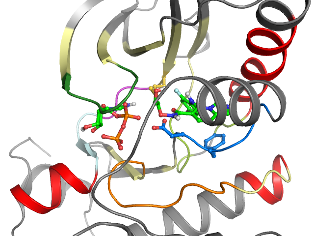 The orthosteric binding pocket