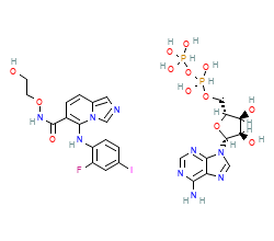 2D structure of the orthosteric ligand