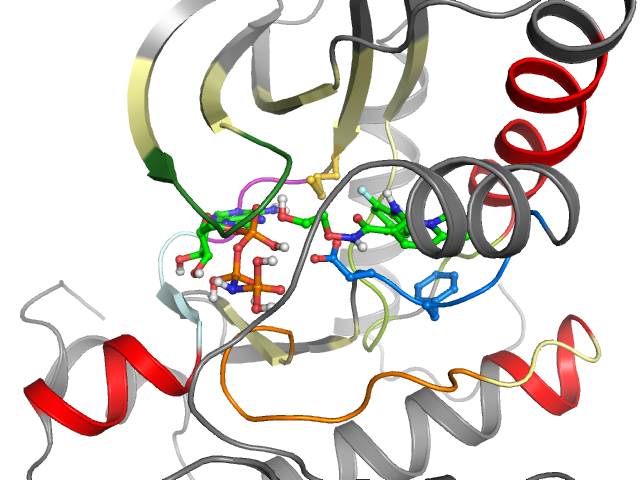 The orthosteric binding pocket
