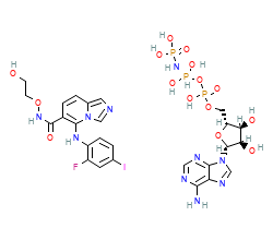 2D structure of the orthosteric ligand