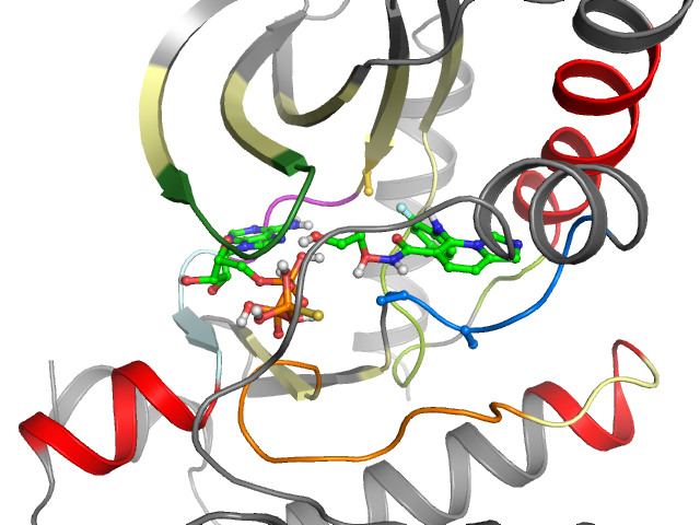The orthosteric binding pocket
